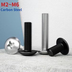 M2 m2.5 m3 m4 m5 m6 nickel / zinc noir phillips têtes