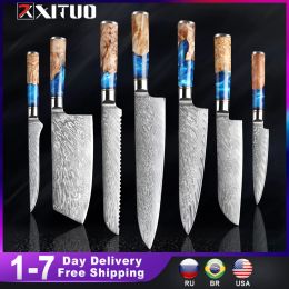 Machines Xituo Kitchen Knivesset Damascus Steel VG10 Chef couteau à pain à pain au couteau bleu résine et à la poignée en bois de couleur 17pcs