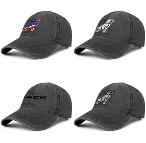 Mack Trucks Dog American Vintage Old Unisex Custom Vintage Denim Wash Fishing Hats Caps Classic Flag Car7215310