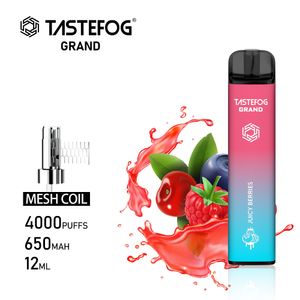 Gemaakt in China wegwerpvape ecigarette 12 ml e-vloeistof 650 mAh 4000PUFF 10 Color voor kiezen