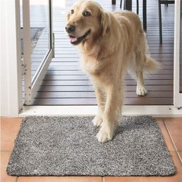 Magic Dust Removal Absorbent Deur Mat Binnen Entring Mat Voor Outdoor Tapijten Buiten Anti Slip Front Foot Carpet 220301