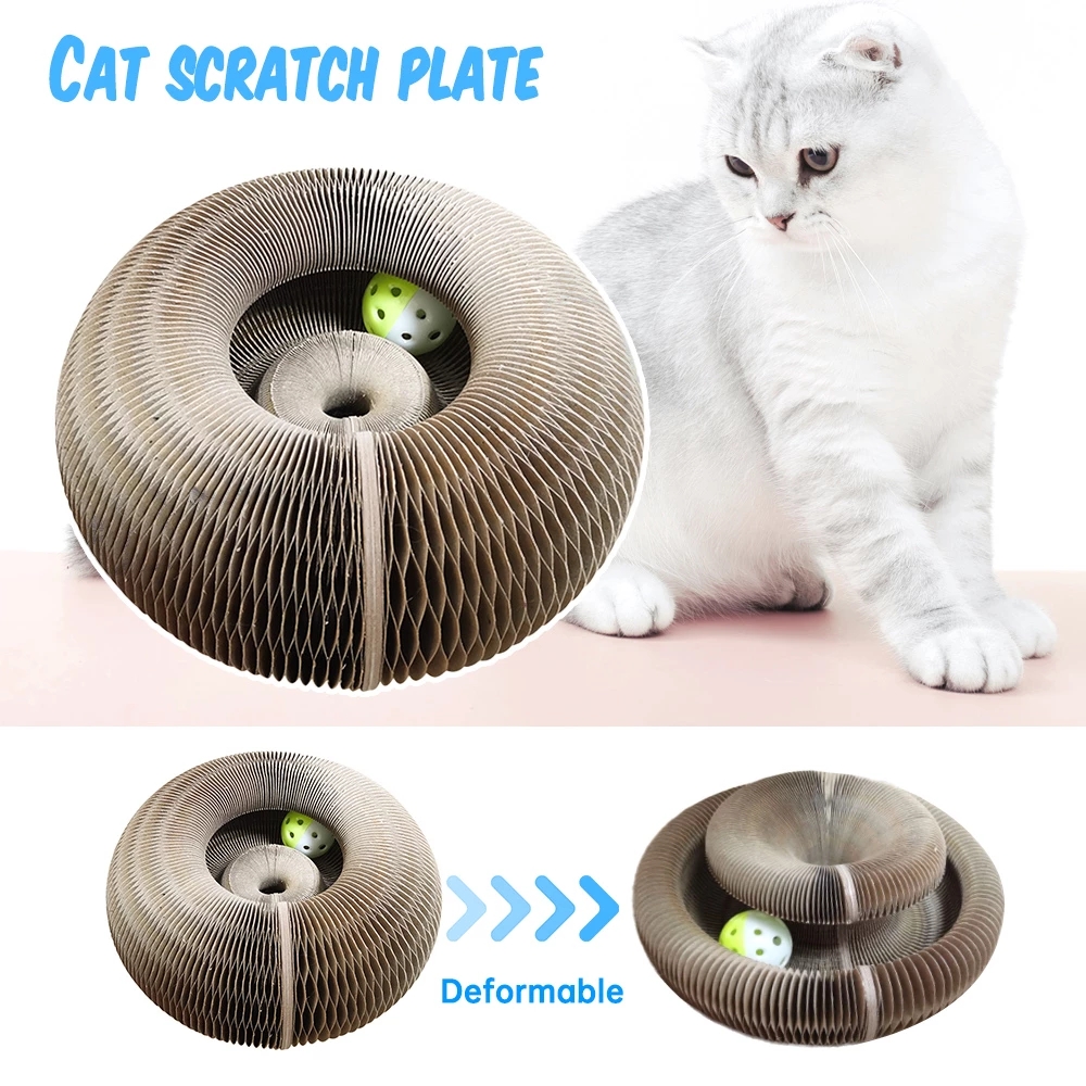 Magical Organ Cat Scratching Board Toy and Bell Cats Retinging Garra Screting Frding Scratchings Toy Toy Sea Freight Inventory por atacado