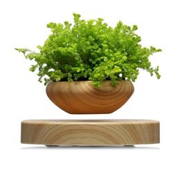 Magnétique Lévitation en casquet Air Bonsaï Pot Lévitation Planter Plante de fleurs Plante succulente pour décoration de bureau à domicile Y200721797685