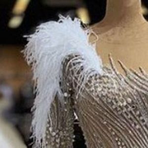 Major Beading Feather prom -jurken met kralen Een schouder zeemeermin avondjurk volle mouwen lange mouwen lange mouwen luxe beroemdheid pagean305h