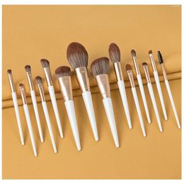 Makeup Brushes 14pcs Brush Set Cosmetics Mélanger le fond de tei terminal Powder Highlight Blush Fayeshadow Everwow Eyellash lèvres