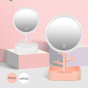 Pinceaux de maquillage miroir cosmétique LED vanité armoire lumière bureau miroirs de remplissage naturel avec boîte de rangement