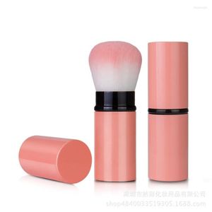 Pinceaux de maquillage Multifonctionnel Extension-Type Laine-Artificielle Brosse Cosmétique Visage Poudre Blusher Beauté Outil E659