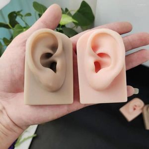 Pinceaux de maquillage, boucles d'oreilles humaines douces, affichage d'accessoires d'oreille, modèle de Simulation en Silicone