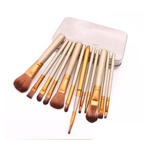 Pinceaux De Maquillage Outils Nude 12 Pièces Ensembles De Pinceaux Professionnels Boîte De Fer Dhs Drop Delivery Santé Beauté Accessoires Dhflx