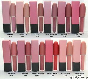 Maquillaje brillo de labios lápiz labial mate resistente al agua brillo de labios líquido lápiz labial 12 colores 4,5G envío gratis