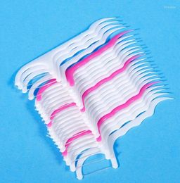 Éponges de maquillage 50pcs Oral Gum Dents Clean Care Floss Thread Dental Plastic Tooth Picks