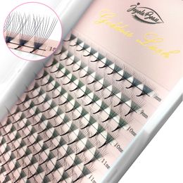 Make -upgereedschappen Premade Volume Fans 3D 4D 5D 6D 10D Mix Individuele Lashes Extension vooraf gemaakte Russische volumefan wimpersextensie faux mink 221231