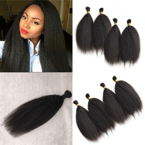 Cheveux malaisiens en vrac pour 4 paquets de cheveux humains indiens crépus raides cheveux en vrac couleur naturelle expédition rapide FDSHINE