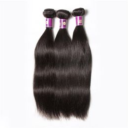 Maleisische virgin haar rechte bundels 6A maleisische remy weeft 100g/strand 4 Bundels per lot onverwerkte remy onverwerkte haar