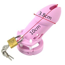 Dispositif de chasteté pour hommes, anneaux péniens, nouvelles techniques sexuelles pour hommes, cage à pénis, ceinture de bondage compatible avec Birdlocked cb6000 Holy Trainer Special