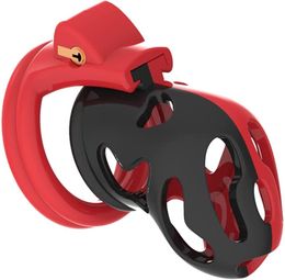 Dispositif de chasteté masculin, conception ergonomique pour adultes, avec anneaux de 4 tailles et verrouillage Invisible, jouet sexuel pour adultes