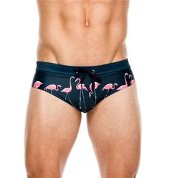 Homme slips hommes sous-vêtements en Nylon mâle flamant mode pantalons de natation Sexy troncs shorts de plage Leggings culottes 240117