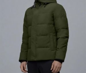 Man designer pufferjas mode-ontwerper jas winter warme jassen dames katoen buiten windjack parka winddichte pluizige kleding donsjassen z6