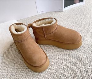 Homme Femme Tazz Tasman Pantoufles Tapis Plateforme Bottes de neige Garder au chaud Botte en peau de mouton Bottes décontractées en peluche avec sacs à poussière en carte Beau Noël