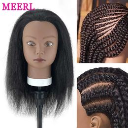 Cabezales de maniquí African Manikin Head 100% Real Hair Forma Hairdresser Training Molly Tinking Cutting Weaving Practice Q240510