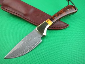Klassiek Serpentine Wood Damascus Collection Mes Pocket Camping Hunting Fixed Blade Knife Survival Tool Xmas Gift Knives 01469
