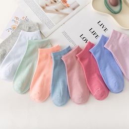 Chaussettes tricotées en coton de couleur unie pour hommes et femmes, vente directe du fabricant, nouveau Design