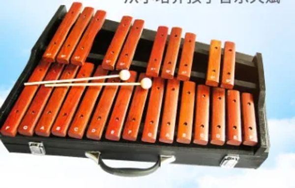 Conformité des fabricants 25 tons xylophone instruments de musique pour enfants enseignement de la petite enfance battre xylophone Orff instrumen