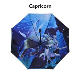 Fabrikanten Directe verkoop 12 sterrenbeelden Sun Paraplu Vrouwelijke Reclame Vouwen Paraplu's UV
