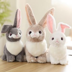 Fabricants en gros 3 couleurs 32cm lapin de Pâques en peluche petit lapin blanc poupée poupée de Pâques cadeau pour enfants