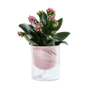 Pot de fleurs paresseux aspect marbre, jardinière à arrosage automatique pour table de bureau et maison, combinaison de verre en céramique, Pot de fleur pour herbes succulentes