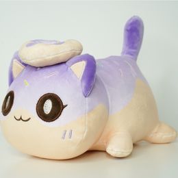 Market Hot Selling Cute Cat Pillow Doll Gift Strawberry Cola Burger Series Cat Plush Children's Toy Groothandel