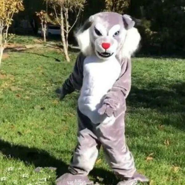 Déguisement de mascotte chat gris adulte déguisement déguisement ensemble publicité Halloween cadeau d'anniversaire