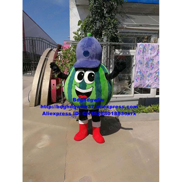 Costumes de mascotte Costume de mascotte de melon de pastèque bleue Costume de personnage de dessin animé adulte Attirer la popularité Activités parent-enfant Zx1488
