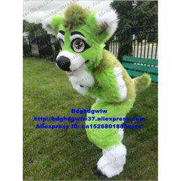 Costumes de mascotte vert longue fourrure fourrure loup Husky chien renard Fursuit mascotte Costume adulte personnage de dessin animé mignon adorable entreprise activité Zx3009