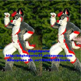 Costumes de mascotte gris longue fourrure fourrure Husky chien renard loup Fursuit mascotte Costume adulte personnage costume garder comme souvenir conférence photo Zx3021