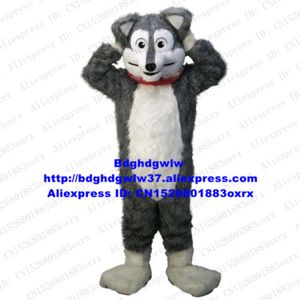 Costumes de mascotte longue fourrure fourrure gris loup Husky chien Fursuit mascotte Costume adulte dessin animé personnage exposition commerciale anniversaire d'affaires Zx662