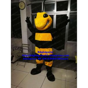 Costumes de mascotte Costumes de mascotte abeille abeille guêpe frelon vespid bourdon Bombus Costume de mascotte adulte personnage de dessin animé programme pour enfants Photo de groupe Zx1574