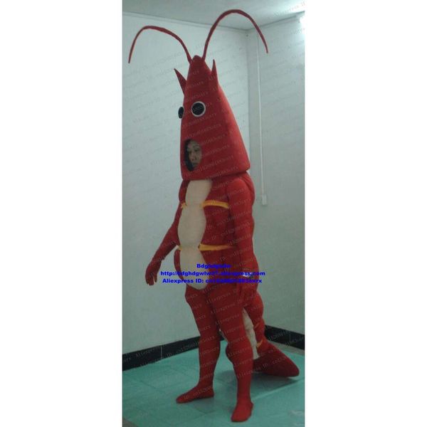 Costumes de mascotte Crevettes rouges Crevettes Homard Écrevisses Langouste Costume de mascotte Personnage de dessin animé Maternelle Pet Shop Business Street Zx1161