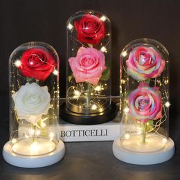 Mashup LED Eeuwige bloem met koepel om het mooie en beest te verlichten, roze in een pot, verjaardagscadeau van Mor of Valentine's Day