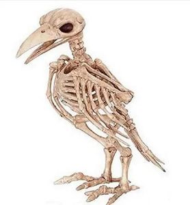 Maskers Groothandel gekke botten skelet Raven Plastic Animal Skeleton Bones Horror Halloween Decoratie Halloween Prop Bird Crow Skeleton D