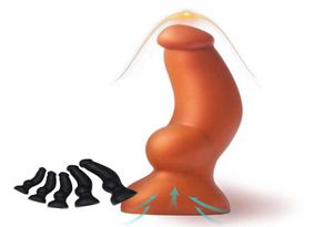 Masaje sexo shop consoladores suaves en consolador realista conhilo anal sextoys silicona gran polla taza de succión Toy de sexo para mujeres íntimas4204495