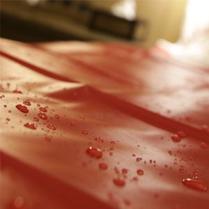 Massage Spa S-E-X Waterdichte Bed Blad PVC Matras Cover, Geen Allergieën, 3 Maat 210x130cm 210x170cm 210x210cm Mat 210626