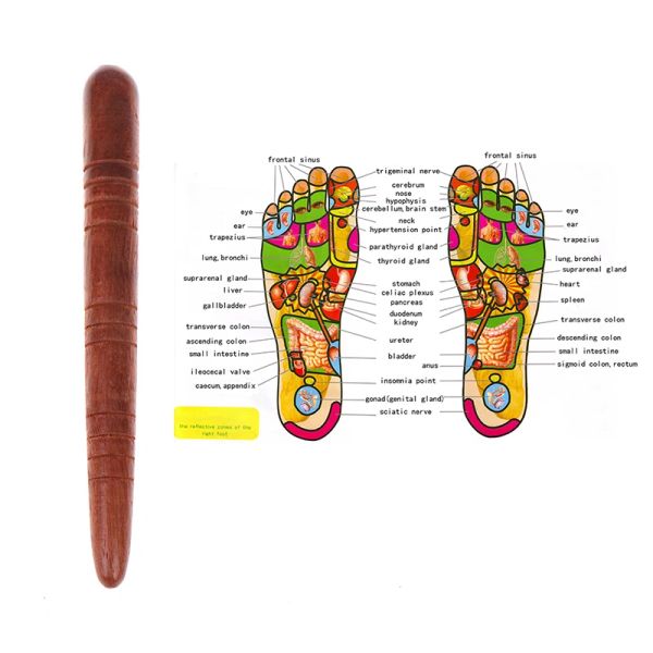Masseur en bois Pied Spa Physiothérapie Réflexologie Thai Foot Massage Health Chart Free Massage Stick Tool