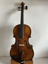 Master 15 Viola Ornati Mode
