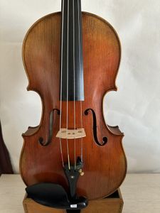 Master Viola 16