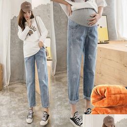 Bas de maternité Automne Hiver Pantalon de laine épais Taille élastique Ventre Droite Vêtements décontractés pour femmes OL Grossesse 112301 Bot Drop Dhmtj