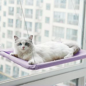 Mats Chats Window Perch Cat Hammock Cat lit de chat portant 20 kg fenêtre monté Hommock Anipage Aspice suspension