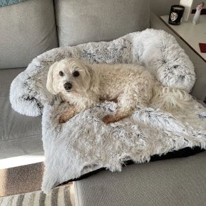 Mats canapé de chien lit pour animaux