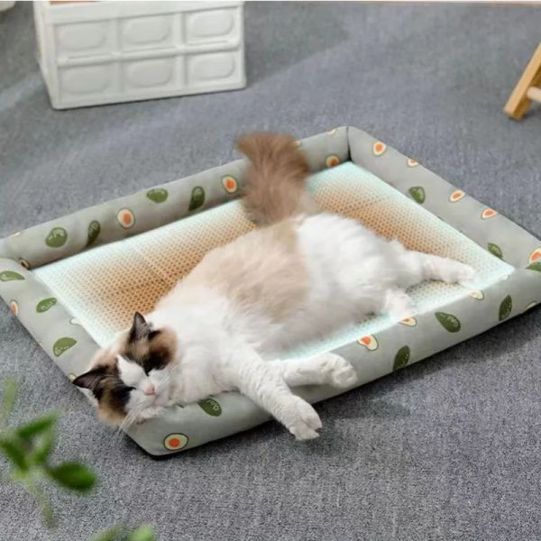 Tapis MADDEN été chat lit léger respirant animal rotin tapis chat nid tapis glace nid chien lit chat Cool nid petits chiens