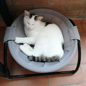Matten huisdier kat hangende bed huis ronde zachte kat hangmat luxe gezellige schommelstoel afneembaar metaal ijzer frame kat bed